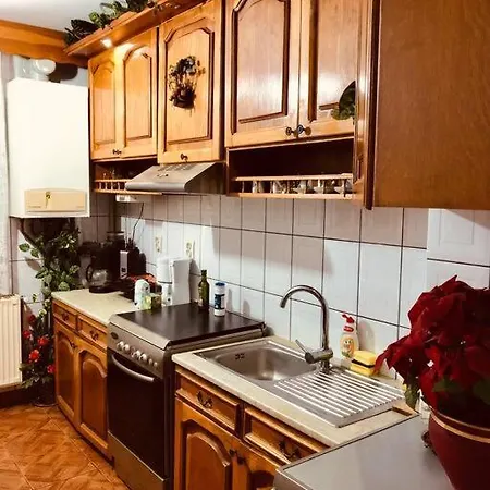 Apartment Joy Ferkel 7 Timisoara