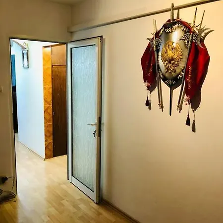 Apartment Joy Ferkel 7 Timisoara