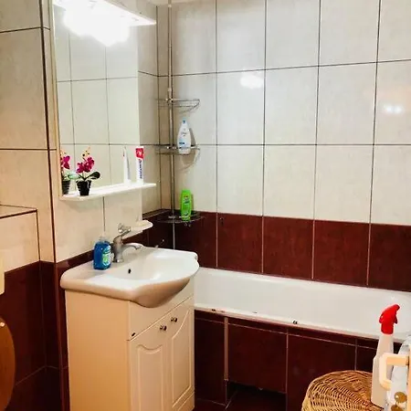 Apartment Joy Ferkel 7 Timisoara