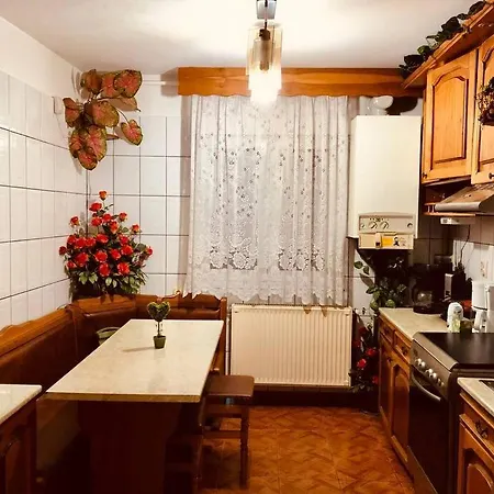 Joy Ferkel 7 Apartment *